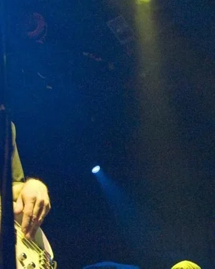 Rainbow Kitten Surprise 