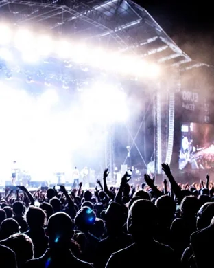 Grateful Dub - Grateful Dead Tribute