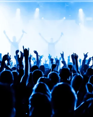 Adrienne Warren Norfolk