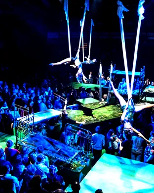 A Midsummer Night's Dream