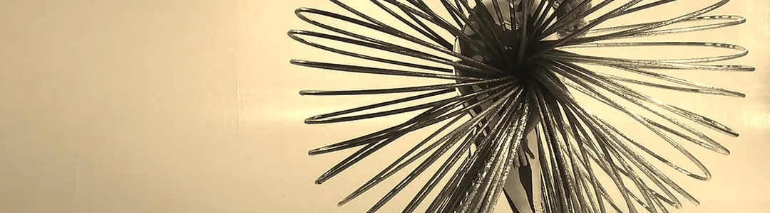 Bindlestiff Family Cirkus