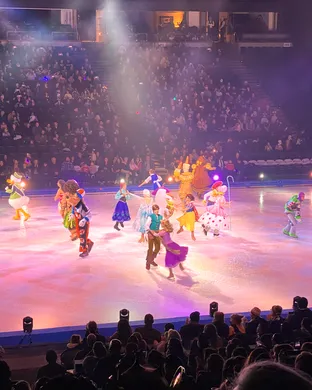 Disney On Ice: Magic In The Stars theatre performance