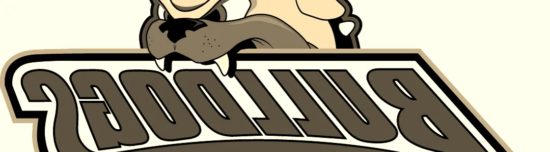 North Carolina Asheville Bulldogs