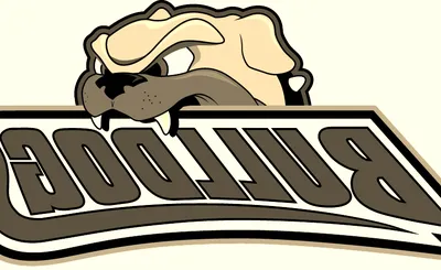 North Carolina Asheville Bulldogs