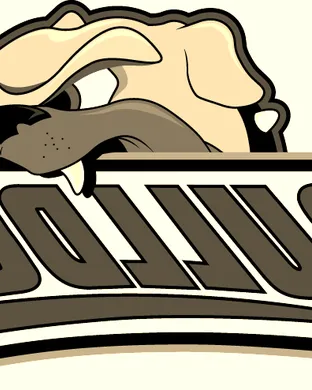 North Carolina Asheville Bulldogs