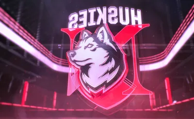 Northeastern Huskies