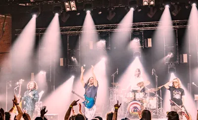 Pigeons Playing Ping Pong