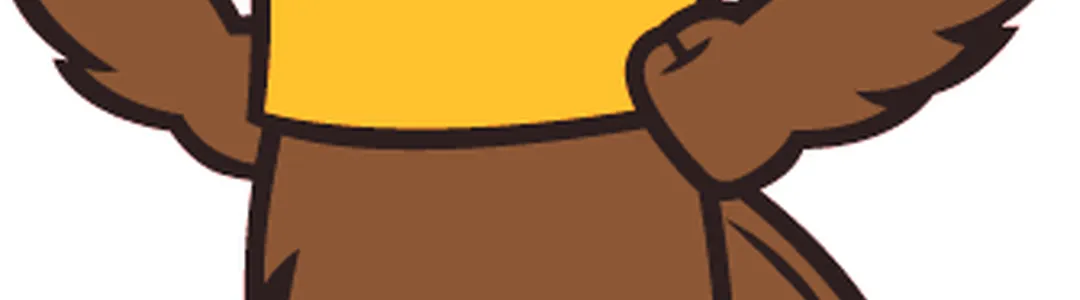 Southern Miss Golden Eagles