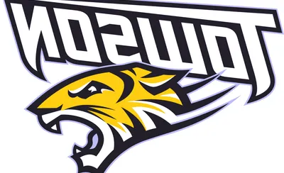 Towson Tigers