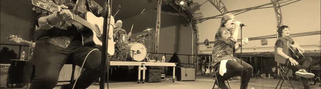 Wilder Horses - Rolling Stones Tribute