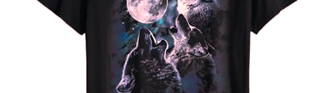 Wolf and Bear