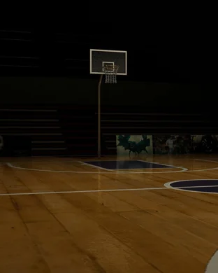 Old Dominion Lady Monarchs Women's Basketball vs. Southern Miss Golden Eagles