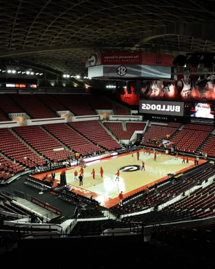 William & Mary Tribe Women's Basketball