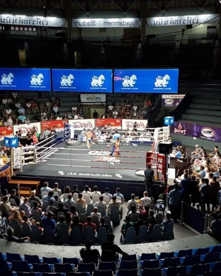 Dirty South Rodeo Festival: Virginia