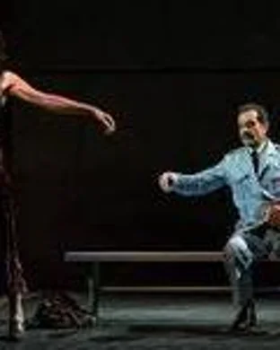 Mrs. Doubtfire - The Musical