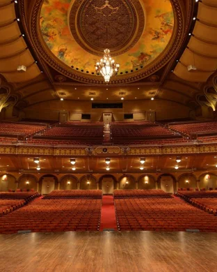 Barefoot Puppets: Galapagos George